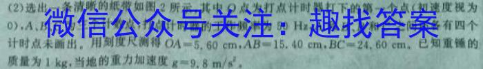 四川省成都市蓉城名校联盟2023-2024学年高三上学期开学考试数学.