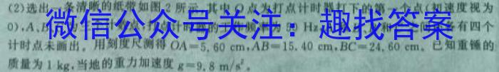 2024年江西省初中学业水平模拟考试(二)2(24-CZ150c)数学