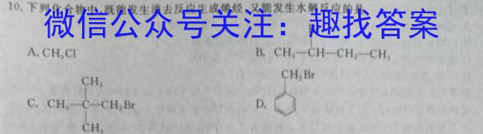 q2024届陕西省榆林市“府、米、绥、横、靖”五校联考（232804Z）化学