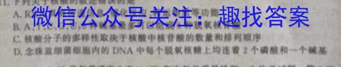 浙江省名校协作体2023-2024学年高三上学期开学适应性考试生物试卷答案