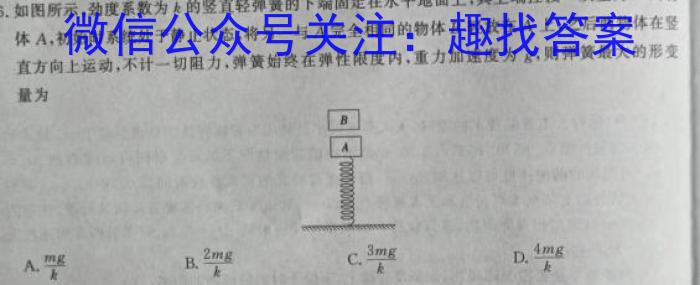 2023-2024学年广西高一年级阶段性期中考试(24-490A)数学h