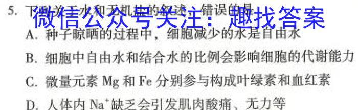 全国大联考 2024届高三第二次联考 2LK-N生物