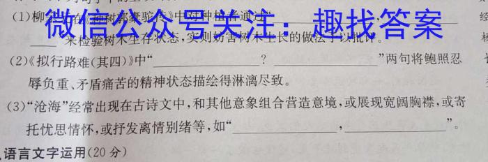 山西省临汾市2024-2023学年度八年级第二学期期末教学质量监测语文