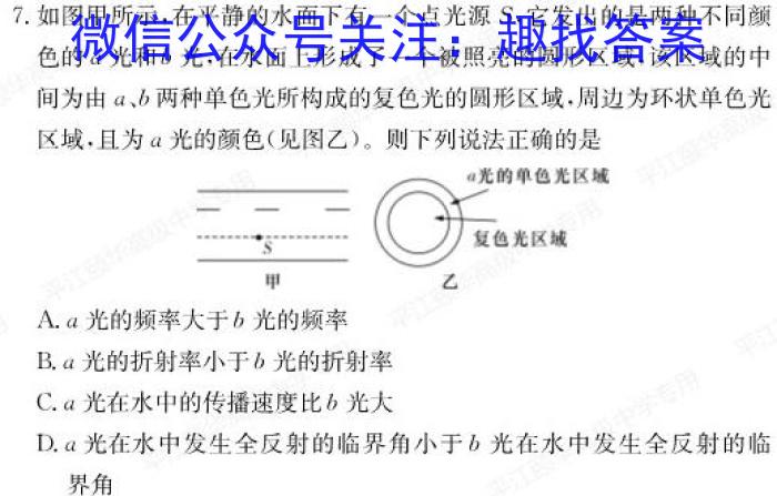 2024年第九届湖北省高三(4月)调研模拟考试数学