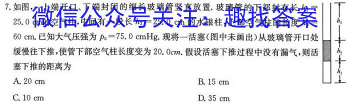 安徽省芜湖市某校2023-2024学年九年级第三次模拟考试数学