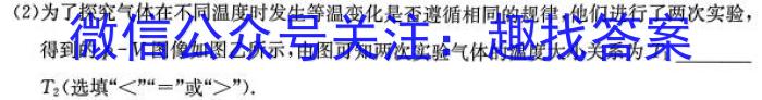 炎德·英才大联考2025届高二年级8月入学联考物理`