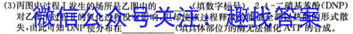 全国大联考 2024届高三第二次联考 2LK-qg生物