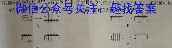 河南2024届高三年级8月入学联考（23-10C）地理试卷及参考答案生物