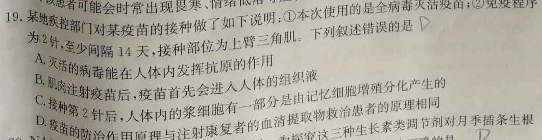 2024届安徽省A10联盟高三开学考试生物