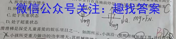 2024届高三5月联考(JL05C-24)数学