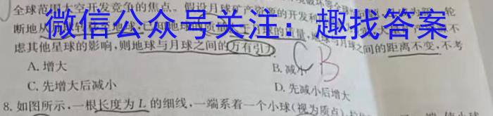 河南省2023-2024学年上学期九年级第三次核心素养检测数学