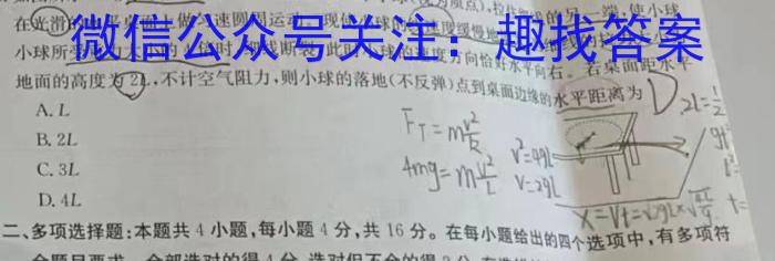 2024届高三仿真模拟调研卷·(一)1数学