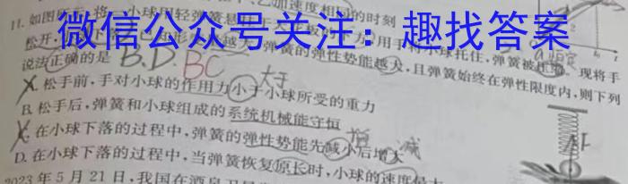 [潍坊三模]山东省潍坊市高考模拟考试(2024.5)数学