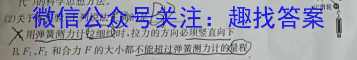 安徽省2023-2024学年七年级上学期学业水平监测(12月)数学