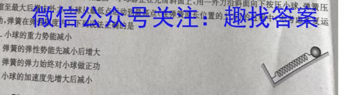 炎德 英才大联考2024届高三暑假作业检测试卷(CJ).物理