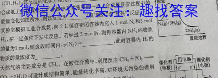 b全国大联考 2024届高三第二次联考 2LK-Y化学
