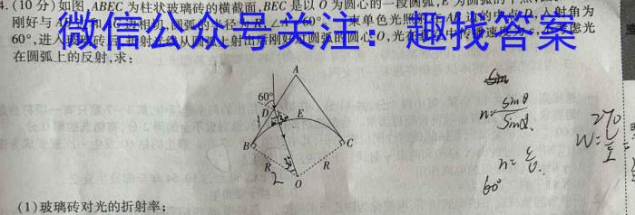 云南师大附中(贵州卷)2024届高考适应性月考卷(九)(黑白白黑黑黑白黑黑)数学