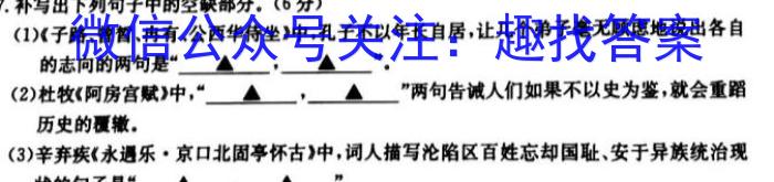 河南2024届高三年级8月入学联考（23-10C）文科数学试卷及参考答案语文