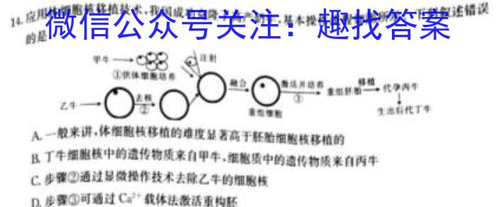 全国大联考2024届高三全国第一次联考 1LK-N生物