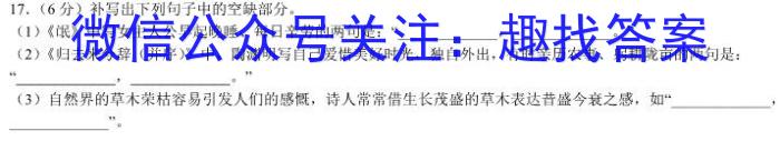 [今日更新]邕衡金卷 名校联盟南宁三中 柳州高中2024届第一次适应性考试语文