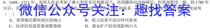 安徽省阜阳市2022/2023（下）八年级期末检测试卷历史