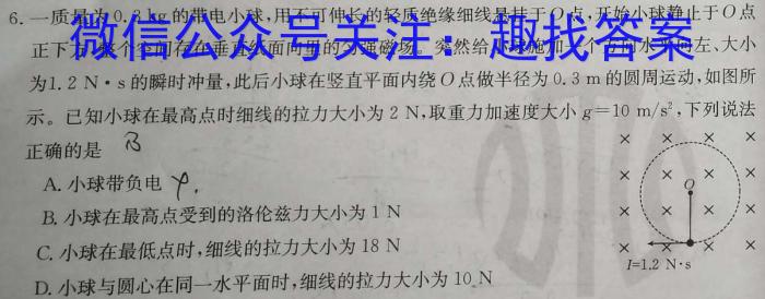 辽宁省2024届高三学年上学期期末联考试卷数学