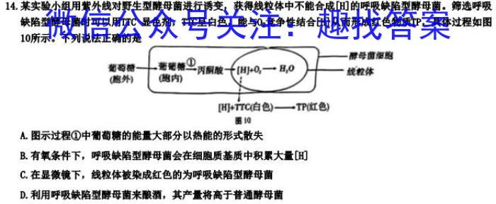 2024届湖南省长沙市长郡中学高三暑假作业检测生物试卷答案