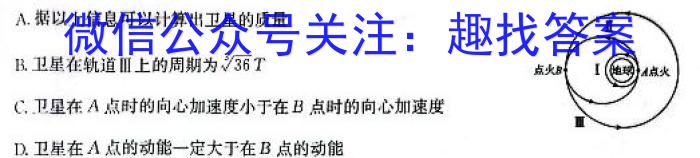 安徽省2024届九年级期末综合评估4L