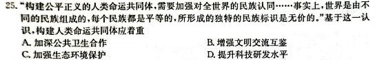 2024届全国高考分科调研模拟测试卷历史