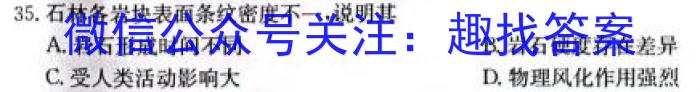 2024届安徽a10开学考高三考试政治~