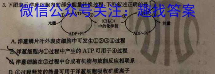 全国名校大联考·2023~2024学年高三第一次联考(XGK)生物
