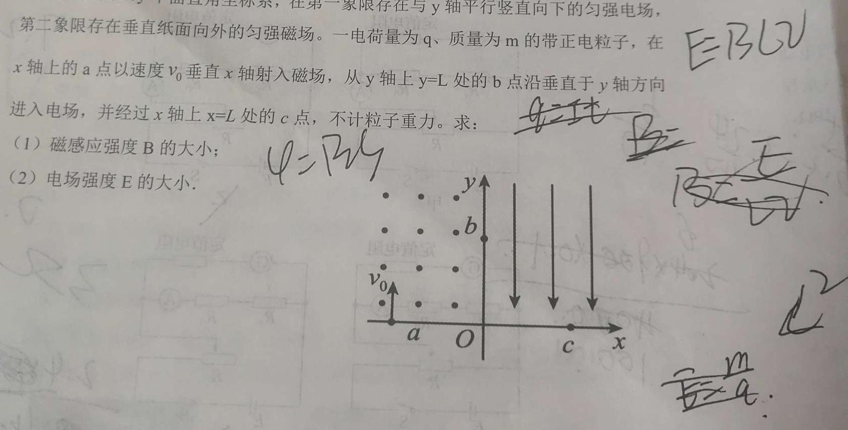 三重教育·2024届高三3月考试（新高考卷）数学.考卷答案