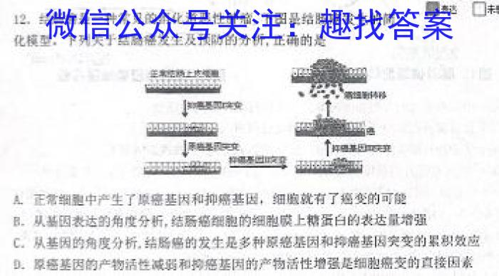 2024届安徽省A10联盟高三开学考试生物试卷答案