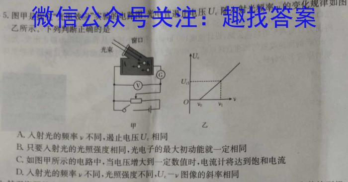 2024安徽省高三质量联合检测试卷（5月）英语