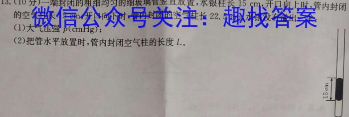 河北省石家庄市赵县2023-2024学年度第一学期期中学业质量检测九年级数学