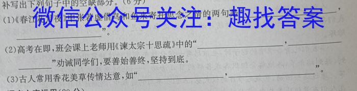 河南省教育研究院2024届新高三8月起点摸底联考化学试卷及参考答案语文