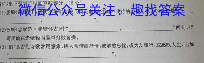 全国大联考2024届高三第一次联考（1LK·新教材老高考）语文