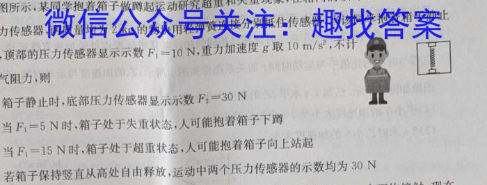 四川省2023-2024学年度上期高二年级高中2022级期中联考数学