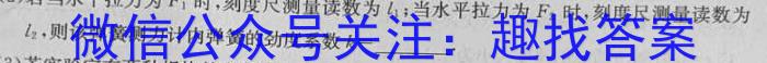 福建省2023-2024学年高中毕业班第一学期期中考试（11月）数学