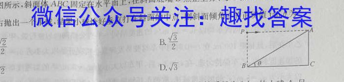 安徽省三海学地教育联盟2024届初中毕业班第一次质量检测数学