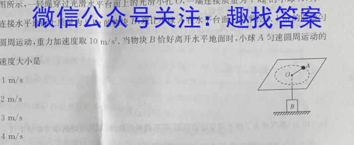 河北省石家庄市第二十八中学2025届九年级开学练习考试数学