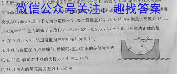 河北省2024届高三年级大数据应用调研联合测评(Ⅲ)数学