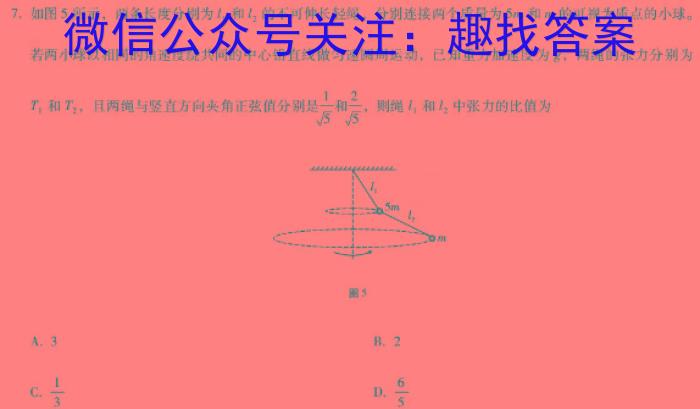 安徽第一卷·2023-2024学年八年级（上）全程达标卷期中调研卷数学