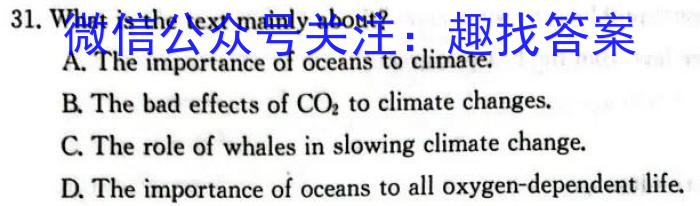 河北省2024届九年级阶段评估(一) 1L R英语
