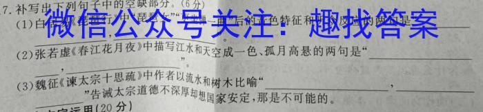 安徽省2023-2024学年第一学期九年级教学质量监测语文