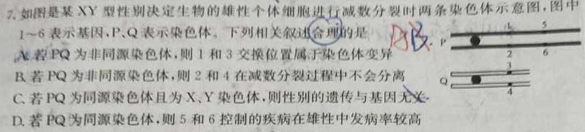 名校联考·2024届高三总复习·月考卷(二)生物学试题答案