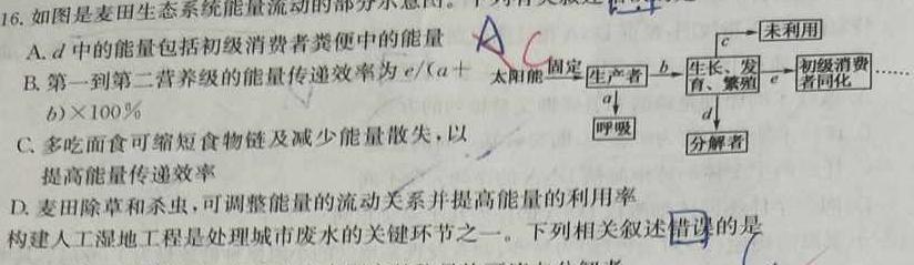 安徽省2023年皖东智校协作联盟高三10月联考生物学试题答案