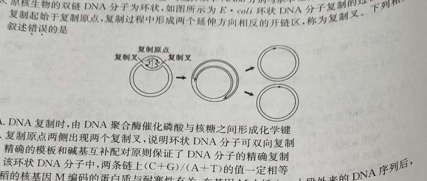 遵义第一组团2024届(9月)高三第一次质量监测生物学试题答案