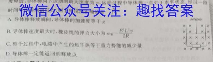 广西省2024届高三三新学术联盟10月联考z物理