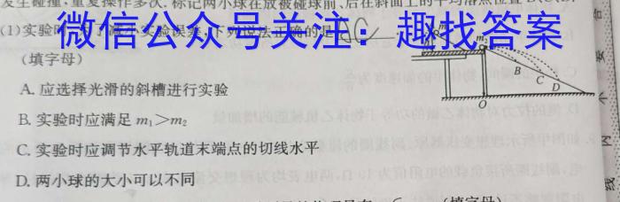 陕西省2024届九年级教学质量检测Bq物理